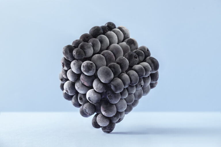 IQF blackberry ingredients